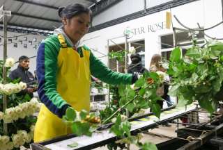 Acuerdo con China otorga acceso preferencial para el 99,6% de productos ecuatorianos