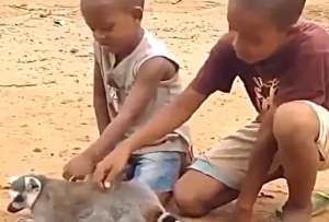 El video ya supera los 3 millones de reproducciones.