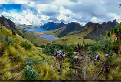 Actualizaci&oacute;n de biodiversidad flor&iacute;stica en el valle interandino del Complejo Monta&ntilde;oso Mojanda.