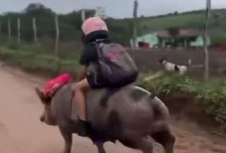 &iexcl;Oink, oink y al colegio! Ni&ntilde;a brasile&ntilde;a se vuelve viral por ir a clases montada en un cerdo