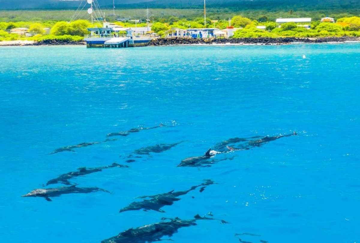 ¡Espectacular avistamiento en Galápagos! 