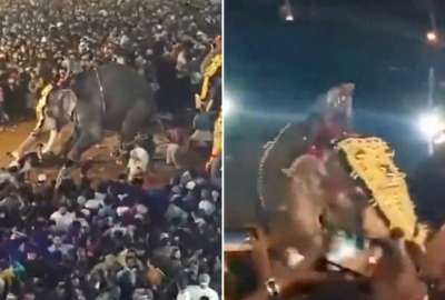 Un elefante embistió a una multitud de personas en un festival. Hay 23 heridos.