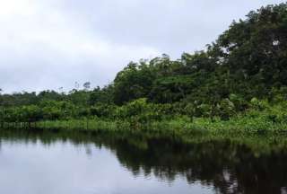 &iexcl;Visita el Yasun&iacute;! Tambococha y Jatuncocha albergan especies &uacute;nicas en el mundo