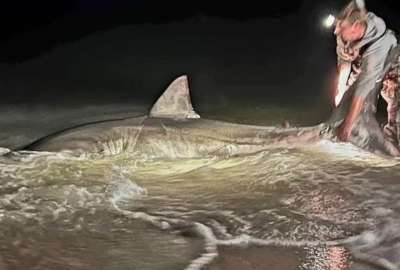 Dos pescadores vivieron una experiencia poco com&uacute;n.