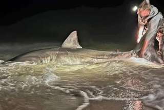 Dos pescadores no se imaginaron lo que atraparon&nbsp;
