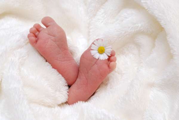 Varias localidades de Estados Unidos cuentan con cajas para entregas de beb&eacute;s