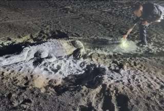 Polic&iacute;a se sorprendi&oacute; al ver a un cocodrilo en la playa; el animal era de arena