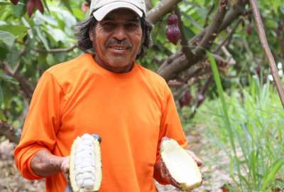 Estos cr&eacute;ditos de CFN se otorgan para el apoyo al sector productivo.