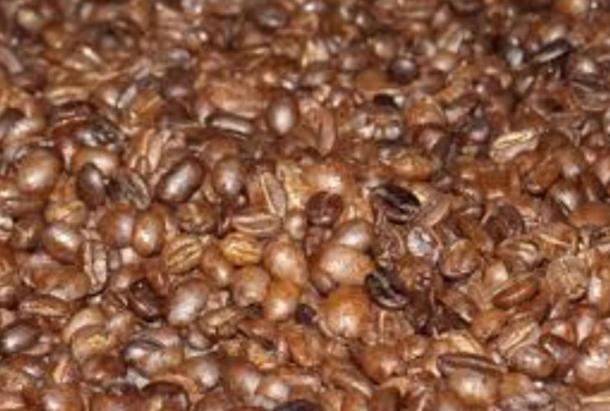 Galápagos: se restringe el ingreso de café tostado y molido