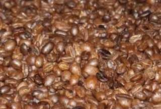 Gal&aacute;pagos: se restringe el ingreso de caf&eacute; tostado y molido
