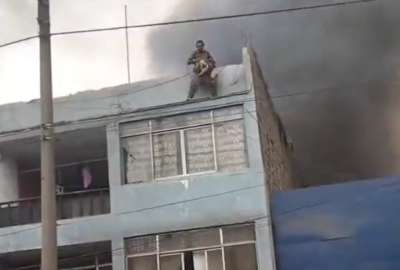 Joven salv&oacute; de un incendio a 25 perros en Lima