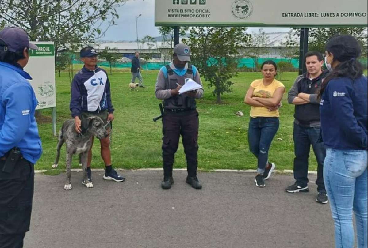 Unidad de Bienestar Animal considera responsables a los propietarios de ambos perros