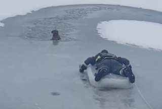 Bombero rescata a un perro de un lago congelado