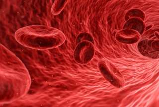 Ni&ntilde;a se recupera del c&aacute;ncer gracias a un tratamiento innovador