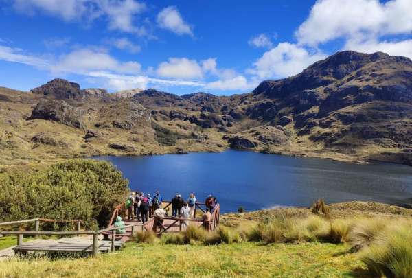 El informe de ETAPA detalla que no hubo contaminaci&oacute;n tras el derrame de combustible en el &aacute;rea protegida del Parque Nacional Cajas.&nbsp;