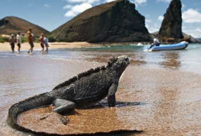 Las islas Gal&aacute;pagos presentan n&uacute;meros positivos en el turismo.