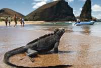 Las islas Gal&aacute;pagos presentan n&uacute;meros positivos en el turismo.