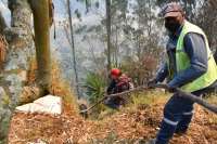 El presidente Daniel Noboa preside el COE Nacional, donde se hablar&aacute; sobre las acciones para enfrentar los incendios en Quito.