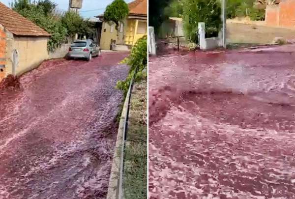 R&iacute;os de vino ti&ntilde;eron de rojo las calles de una localidad de Portugal