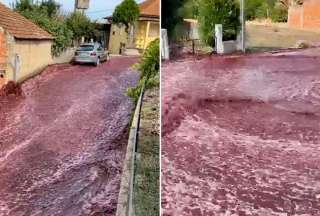 R&iacute;os de vino ti&ntilde;eron de rojo las calles de una localidad de Portugal