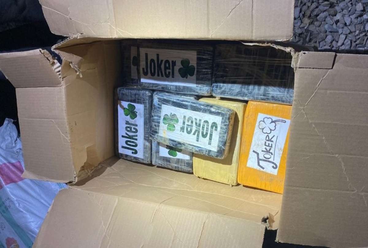 La sustancia fue encontrada camuflada en cajas de cartón. 