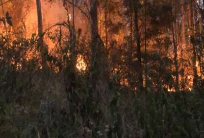 Bomberos y comunidades trabajan contra el avance del fuego en zonas ecol&oacute;gicas.