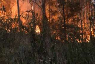 Esta es la situaci&oacute;n de incendios en Ecuador