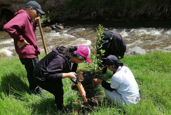 Ecuador reforesta con 4.500 &aacute;rboles en el D&iacute;a Internacional de los Bosques