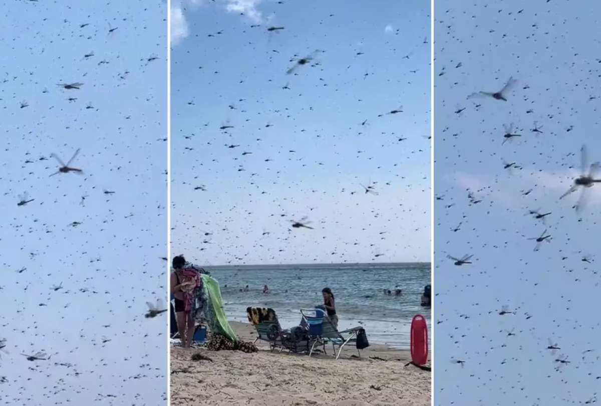 Los ba&ntilde;istas de la playa de Misquamicut en Rhode Island fueron testigos de un fen&oacute;meno natural inesperado.