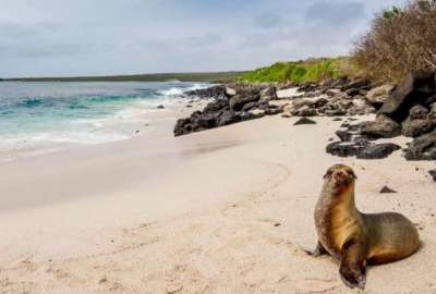 Gobierno apunta a la prohibici&oacute;n total de la pirotecnia en Gal&aacute;pagos. 