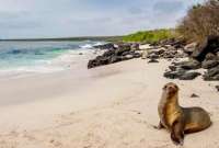 Gobierno apunta a la prohibici&oacute;n total de la pirotecnia en Gal&aacute;pagos. 