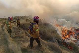 Ecuador registra cinco incendios forestales