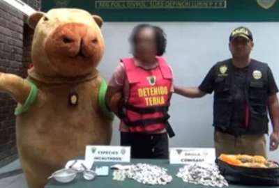 Perú: Policía disfrazado de capibara sorprende a un presunto narcotraficante