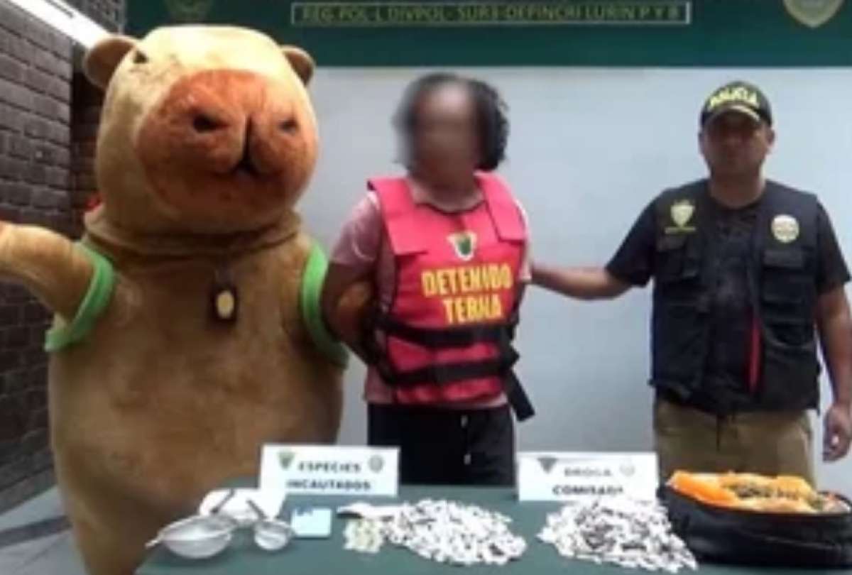 Perú: Policía disfrazado de capibara sorprende a un presunto narcotraficante 