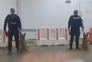 Incautan 60 bloques de coca&iacute;na y detienen a cinco implicados en Posorja