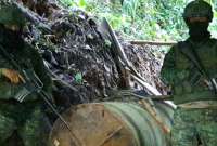Fuerzas Armadas desmantelan centro de minería ilegal en Tulcán