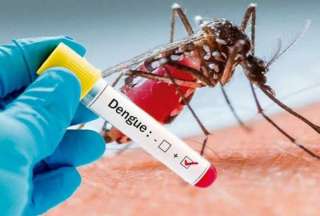 29.111 contagiados y 32 fallecidos por dengue en Ecuador