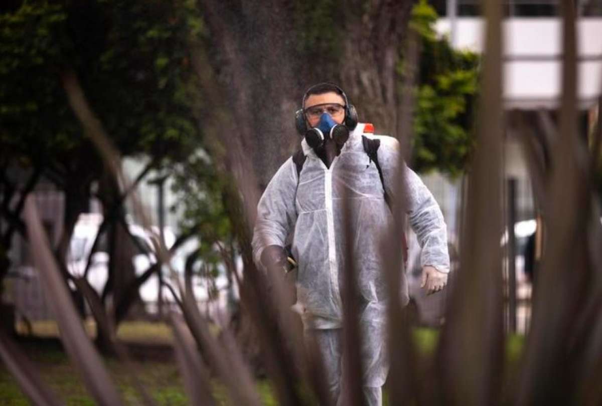 En Argentina suman 2.845 casos acumulados de dengue. 