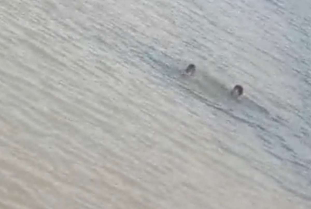 Continúa la búsqueda de dos jóvenes desaparecidos en el río Babahoyo