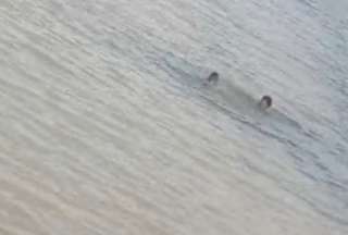 Contin&uacute;a la b&uacute;squeda de dos j&oacute;venes desaparecidos en el r&iacute;o Babahoyo