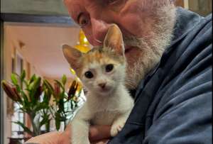 Anthony Hopkins es un todo un "michi lover"