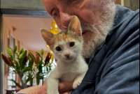 Anthony Hopkins es un todo un "michi lover"