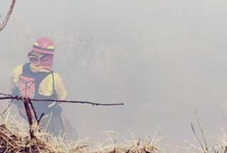 Incendio forestal se registra en Carcel&eacute;n Bajo