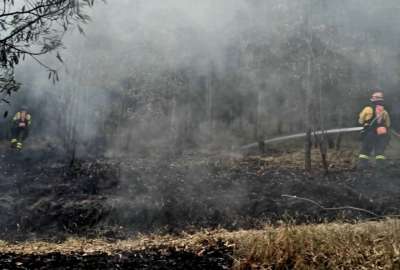 Para denunciar a los causantes de incendios forestales denuncie al 911 