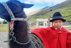 Joel Guanotu&ntilde;a posa junto a su llama Benjam&iacute;n, en Angamarca, Cotopaxi