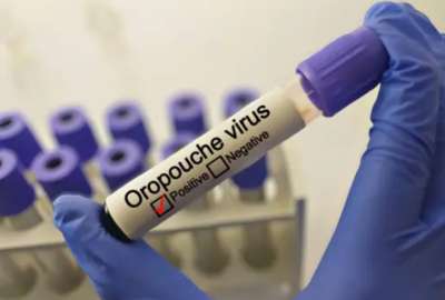  &iquest;Qu&eacute; es el virus Oropouche y c&oacute;mo se contagia?