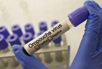 ¿Qué es el virus Oropouche y cómo se contagia?