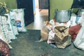 Horror en Riobamba: clausuran restaurante por almacenar pezu&ntilde;as crudas en baldes