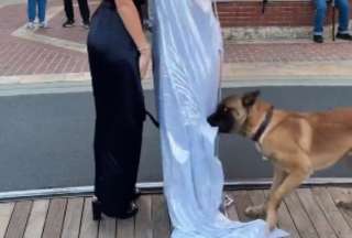 Un perro le quit&oacute; el vestido a una mujer en la calle