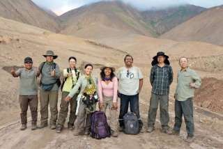 Rara especie vegetal, objeto de cooperaci&oacute;n entre China y Per&uacute;